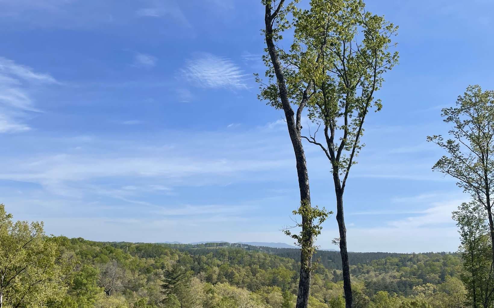 LT118 S Jakes Landing Way, Ellijay GA 30540 - Photo