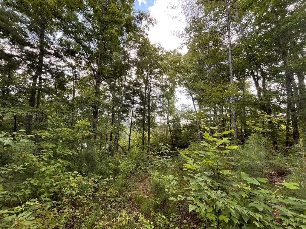 LT118 S Jakes Landing Way, Ellijay GA 30540 - Photo