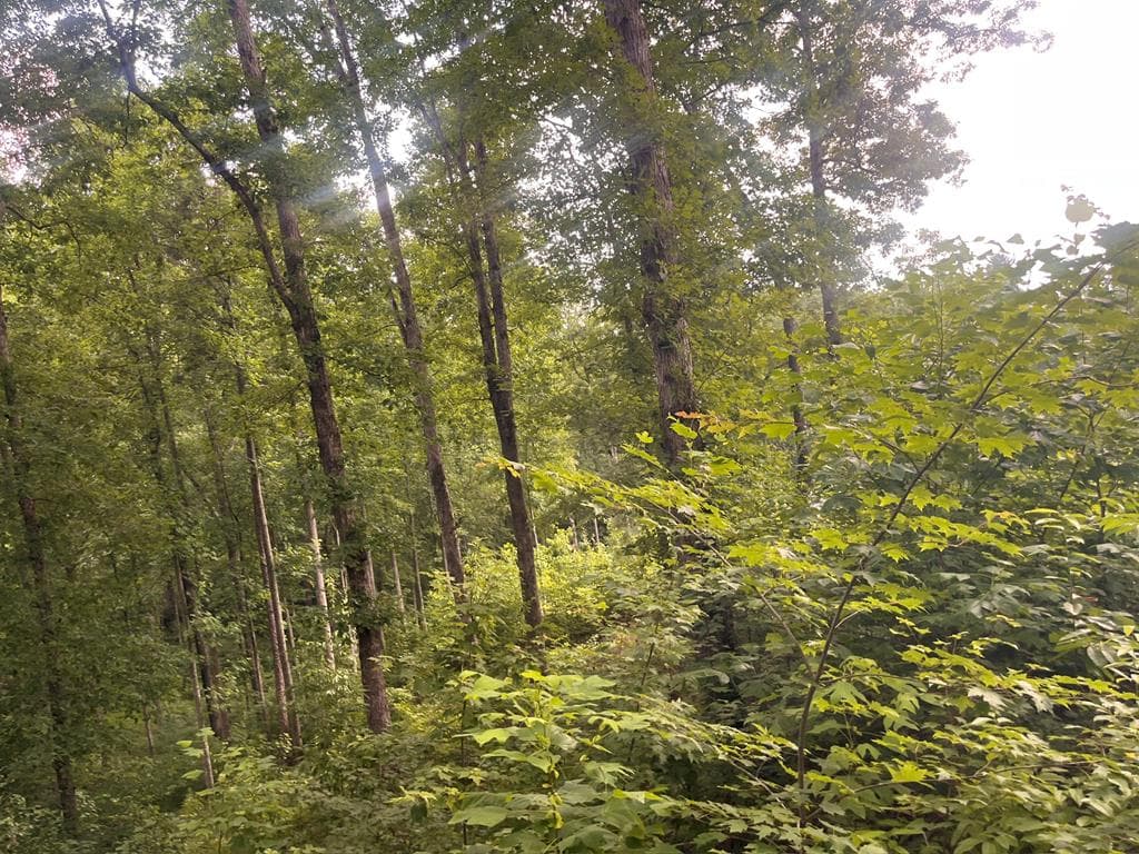 LT118 S Jakes Landing Way, Ellijay GA 30540 - Photo