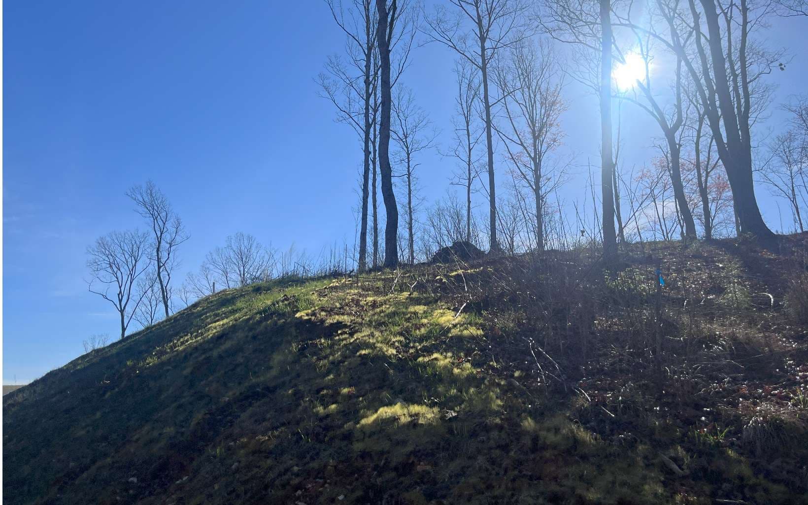 LT118 S Jakes Landing Way, Ellijay GA 30540 - Photo