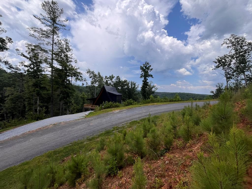 LT118 S Jakes Landing Way, Ellijay GA 30540 - Photo
