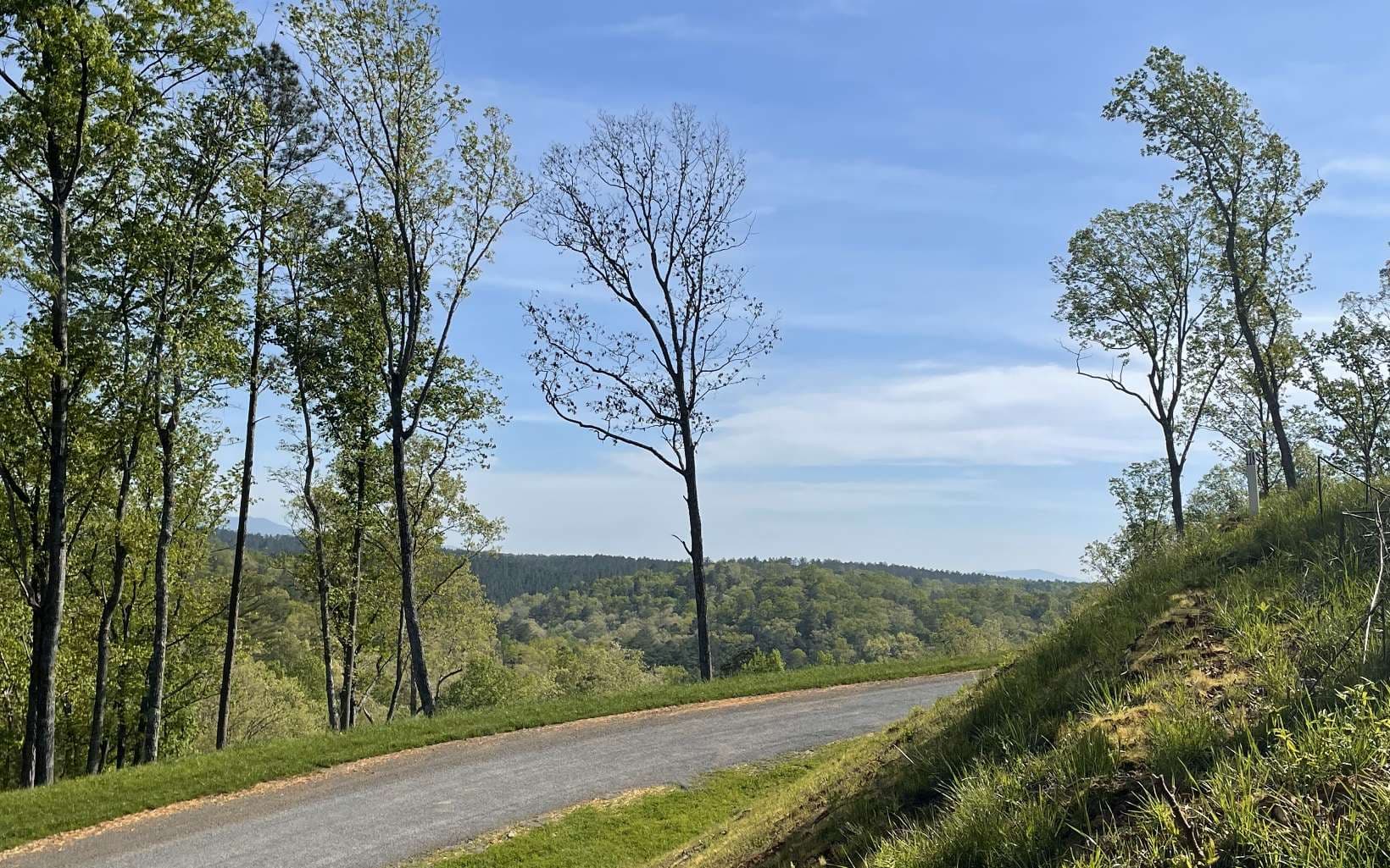 LT118 S Jakes Landing Way, Ellijay GA 30540 - Primary photo