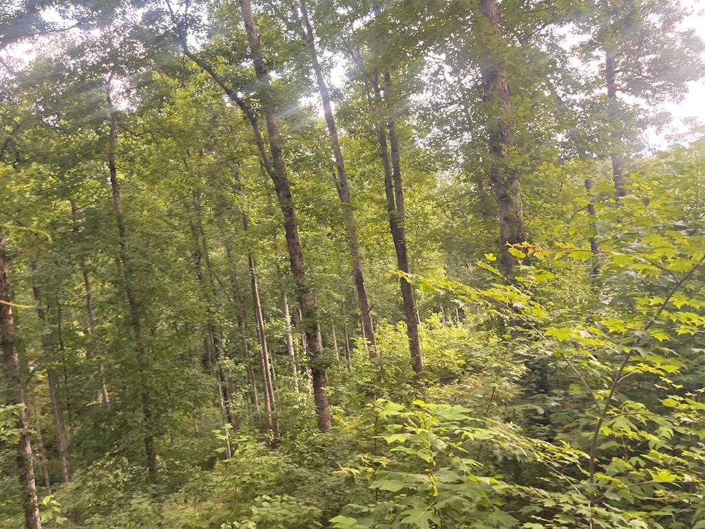 LT118 S Jakes Landing Way, Ellijay GA 30540 - Photo
