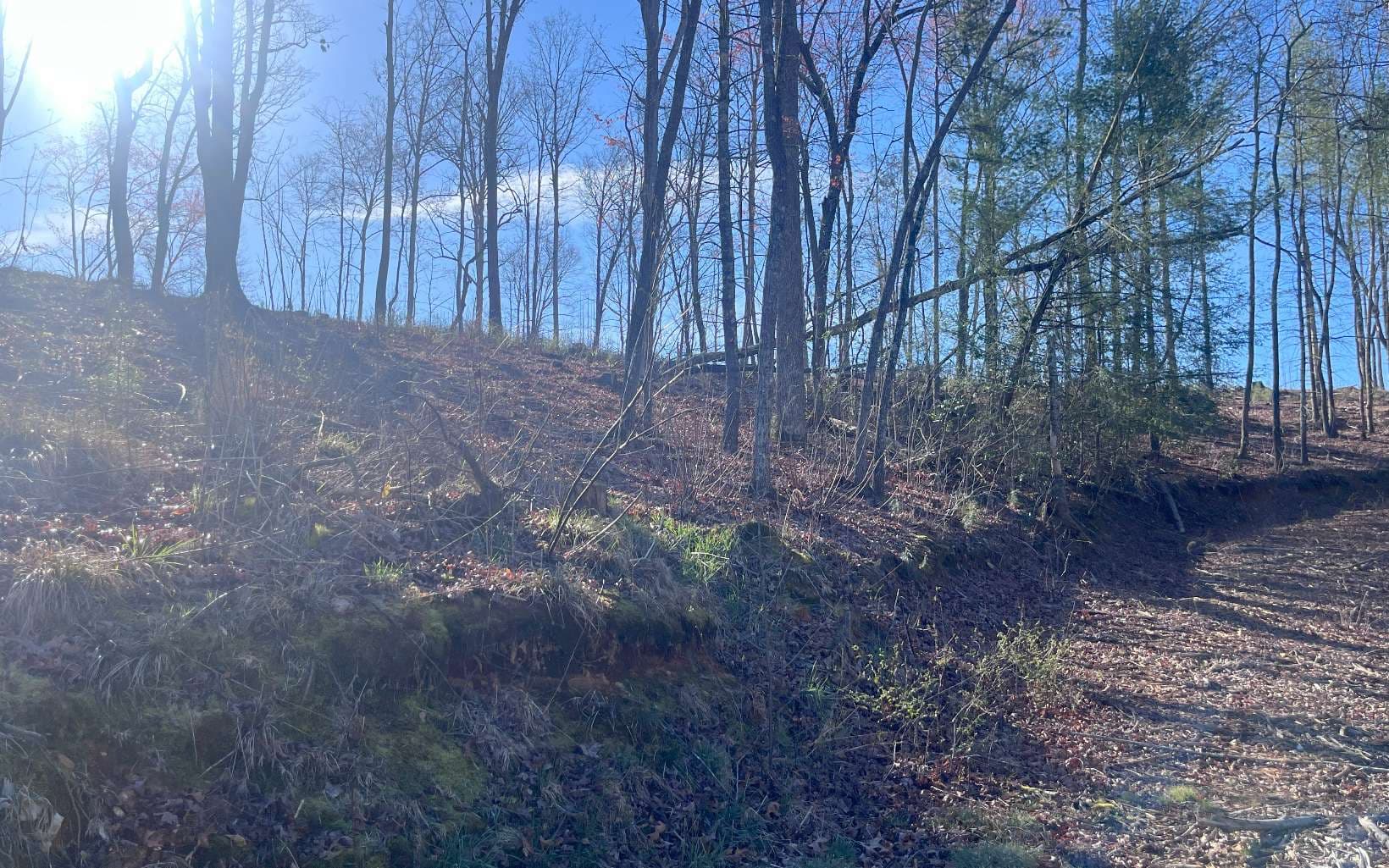 LT118 S Jakes Landing Way, Ellijay GA 30540 - Photo