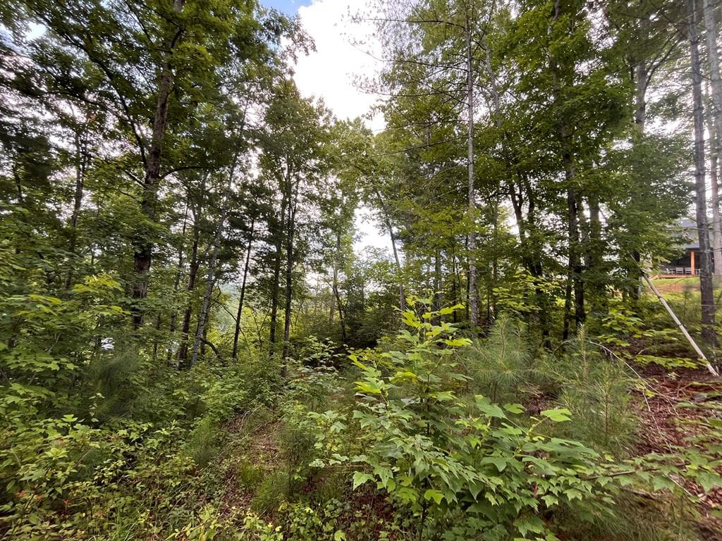 LT118 S Jakes Landing Way, Ellijay GA 30540 - Photo