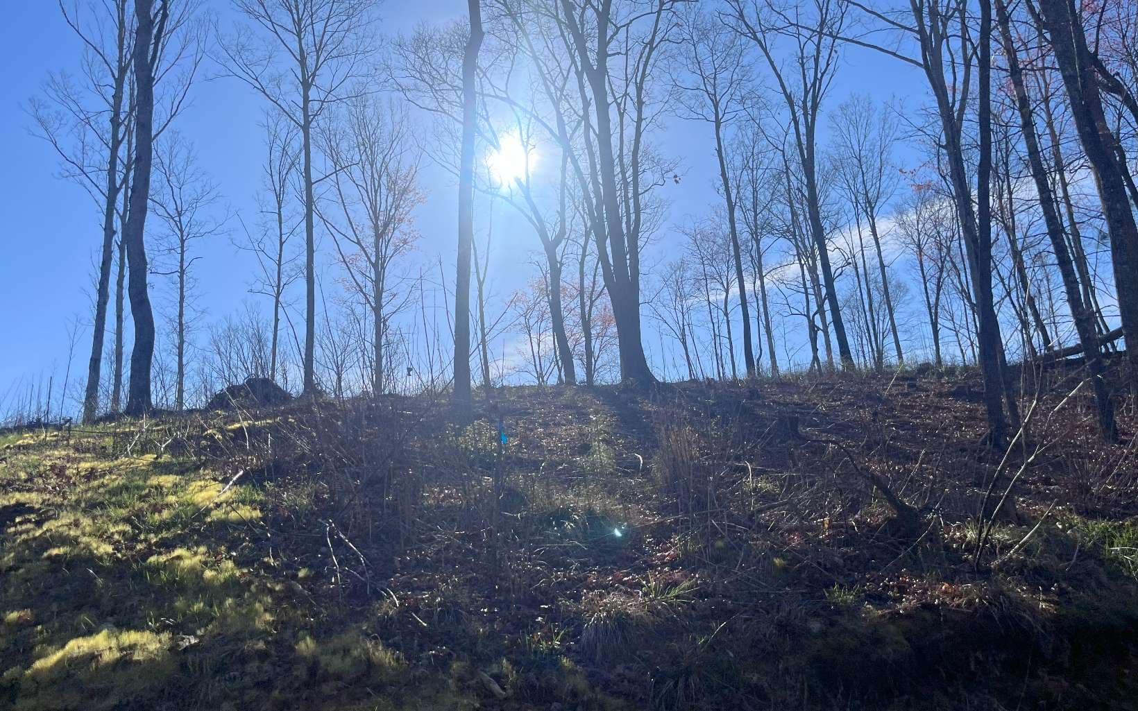 LT118 S Jakes Landing Way, Ellijay GA 30540 - Photo