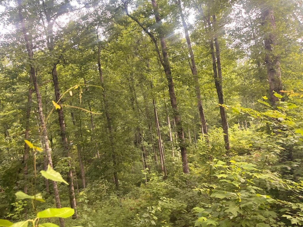 LT118 S Jakes Landing Way, Ellijay GA 30540 - Photo