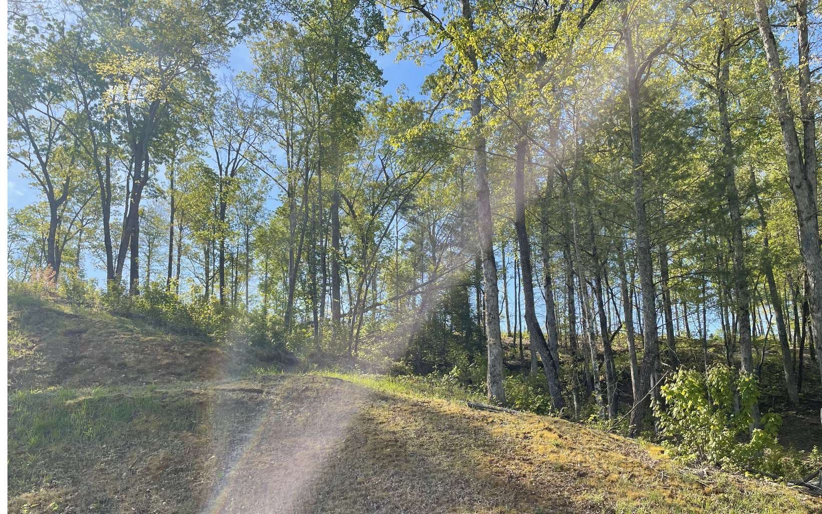 LT118 S Jakes Landing Way, Ellijay GA 30540 - Photo