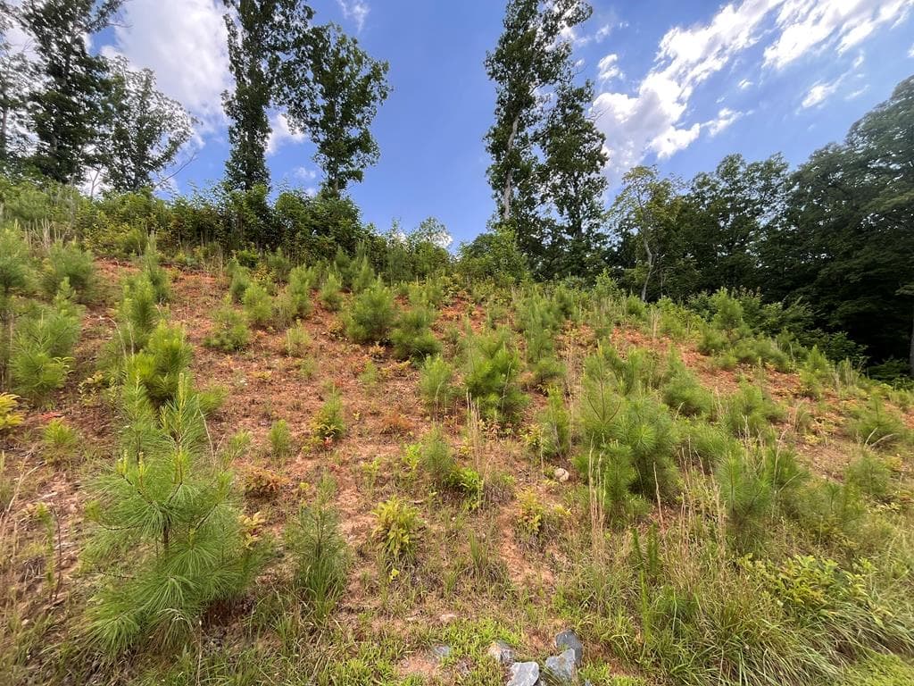 LT118 S Jakes Landing Way, Ellijay GA 30540 - Photo