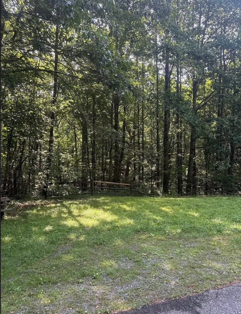 00 Burnt Mountain, Jasper GA 30143 - Photo