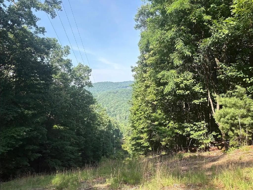 00 Burnt Mountain, Jasper GA 30143 - Primary photo