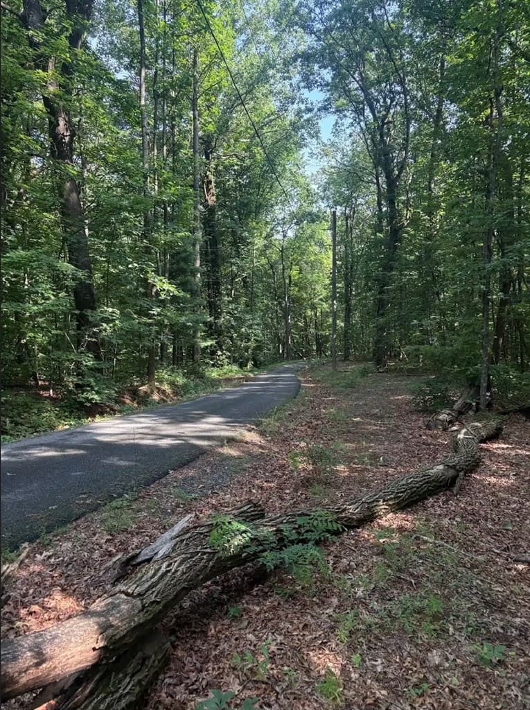 00 Burnt Mountain, Jasper GA 30143 - Photo