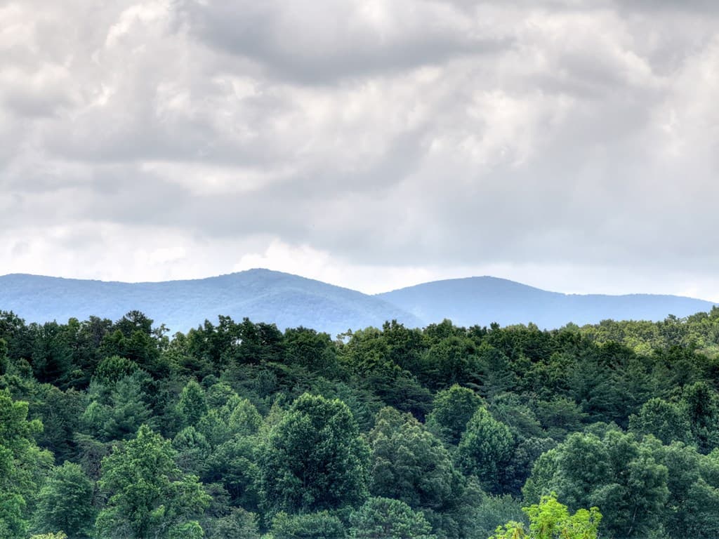 246 Bearden Farm Overlook, Blue Ridge GA 30513 - Photo