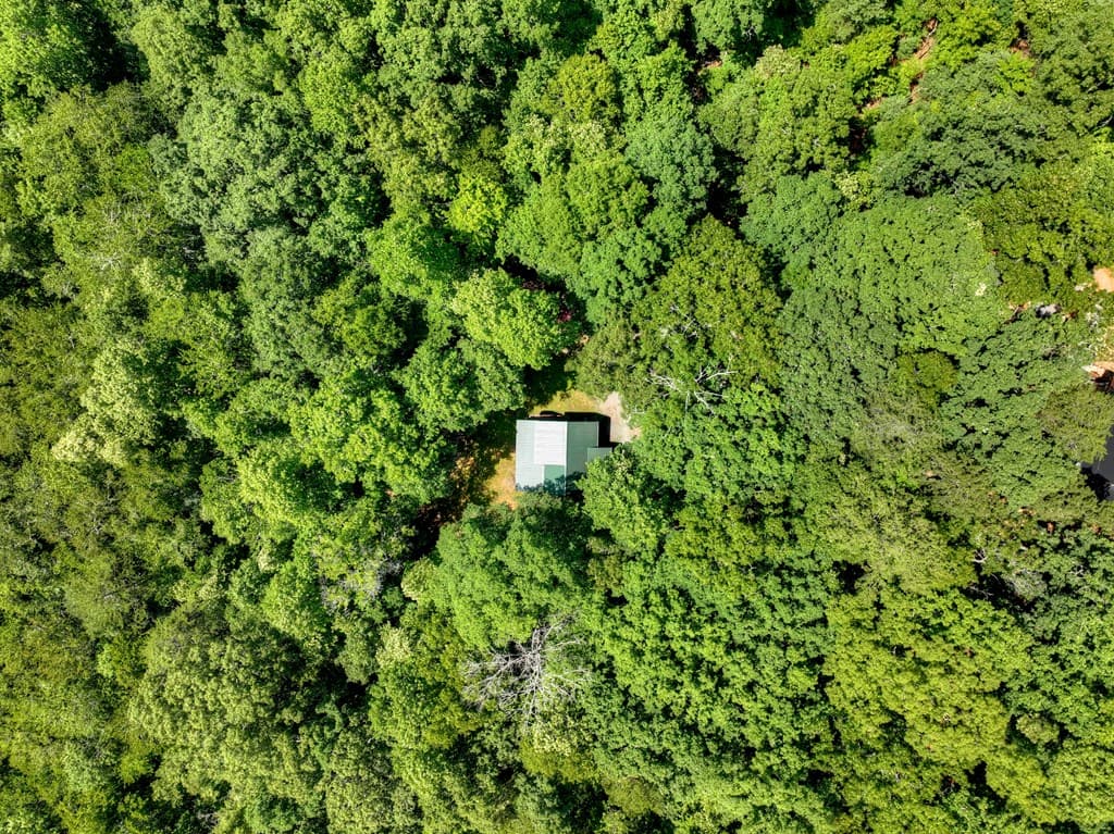 59 Oak Lane, Blue Ridge GA 30513 - Photo