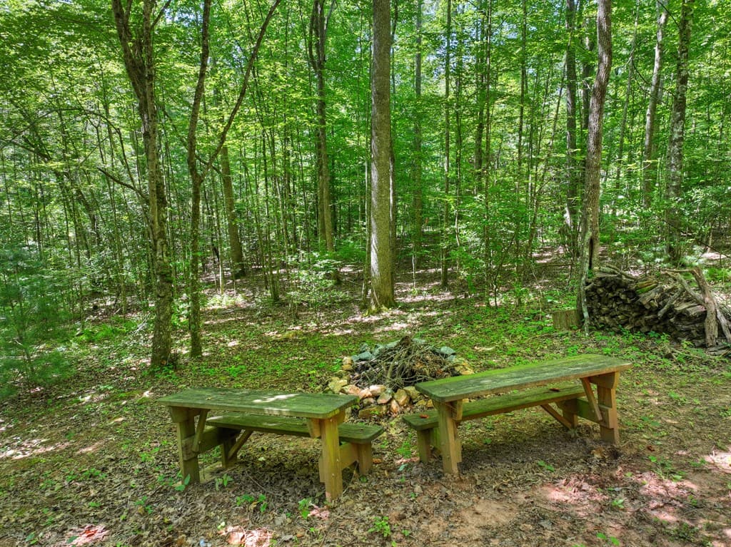 59 Oak Lane, Blue Ridge GA 30513 - Photo