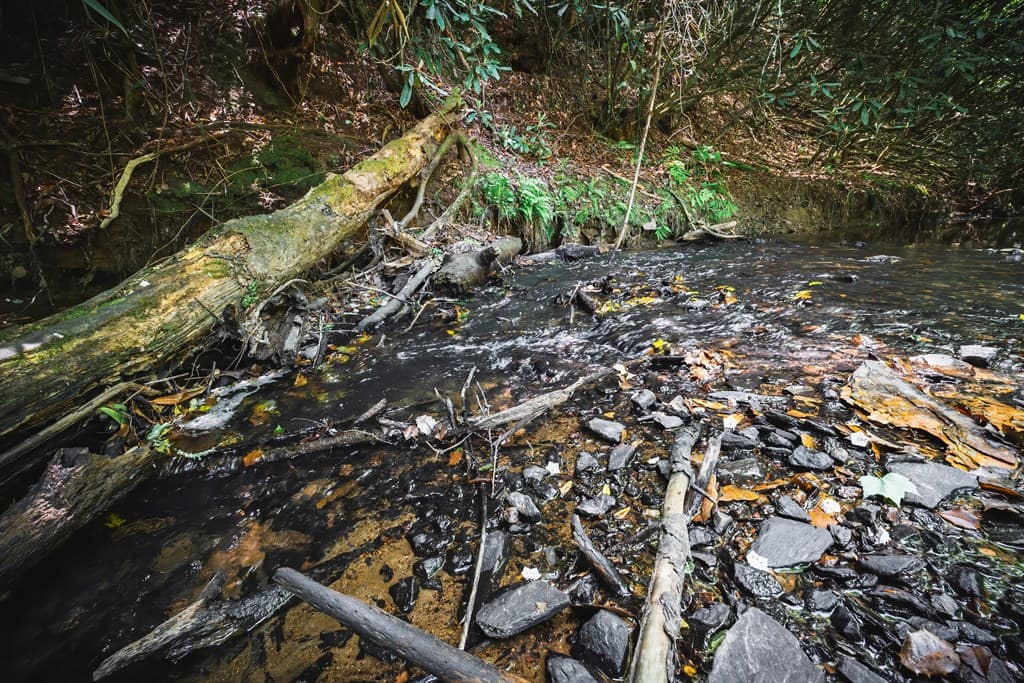 Lot 1-1A Jonica Gap Road, Mineral Bluff GA 30559 - Photo