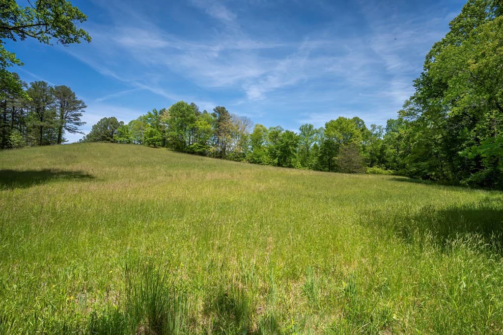 Lot 1-1A Jonica Gap Road, Mineral Bluff GA 30559 - Photo