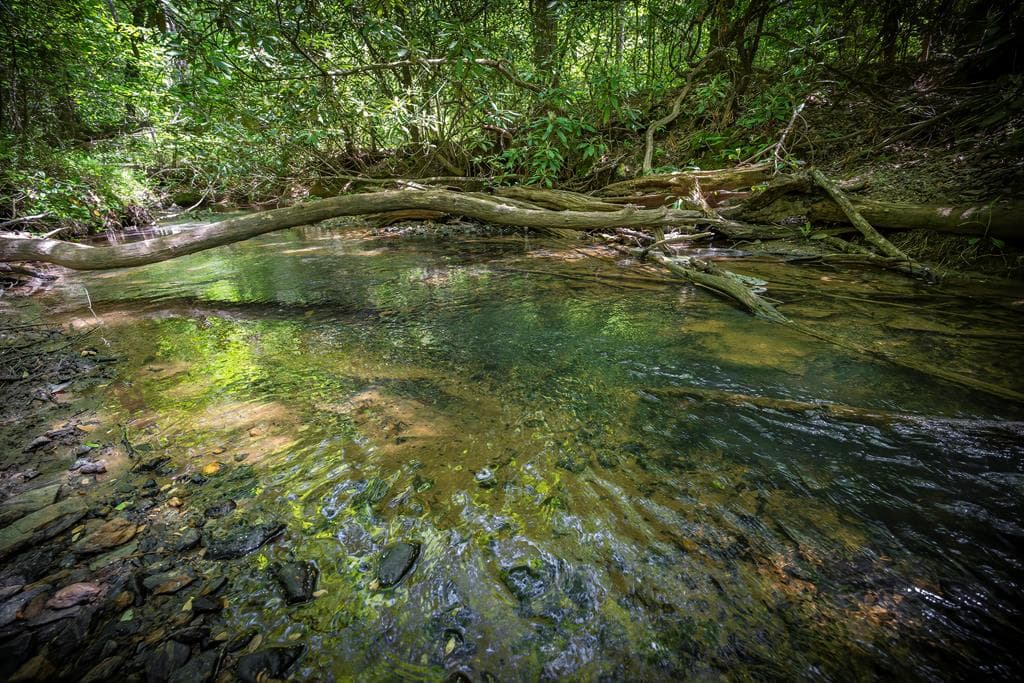 Lot 1-1A Jonica Gap Road, Mineral Bluff GA 30559 - Primary photo
