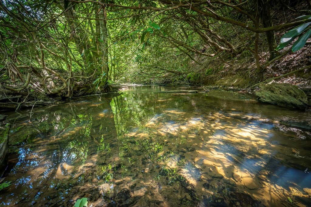 Lot 1-1A Jonica Gap Road, Mineral Bluff GA 30559 - Photo