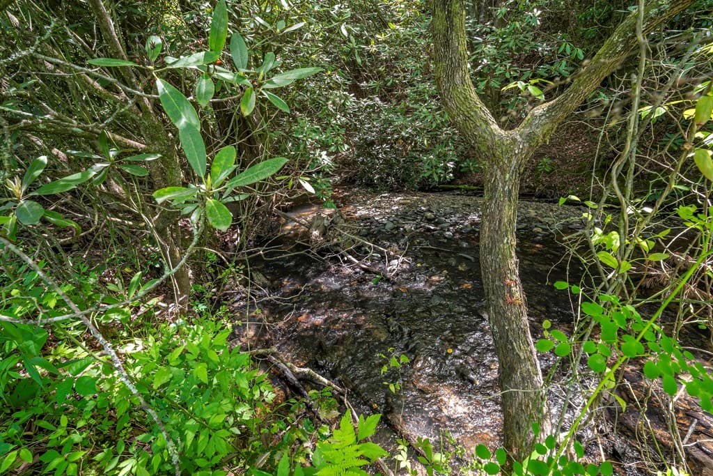 Lot 1-1A Jonica Gap Road, Mineral Bluff GA 30559 - Photo