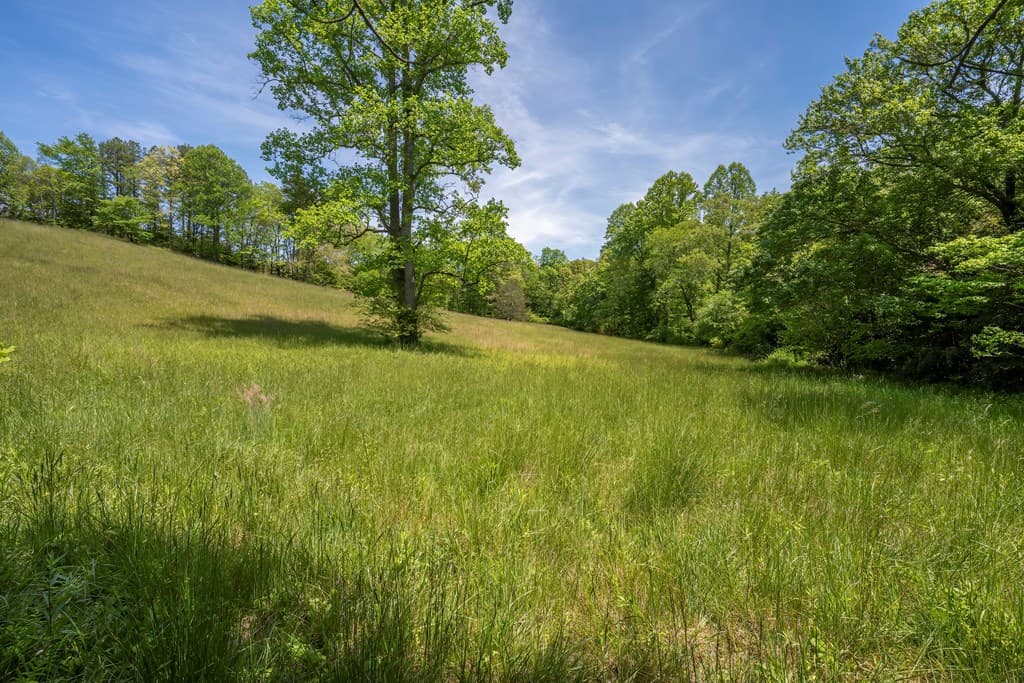 Lot 1-1A Jonica Gap Road, Mineral Bluff GA 30559 - Photo