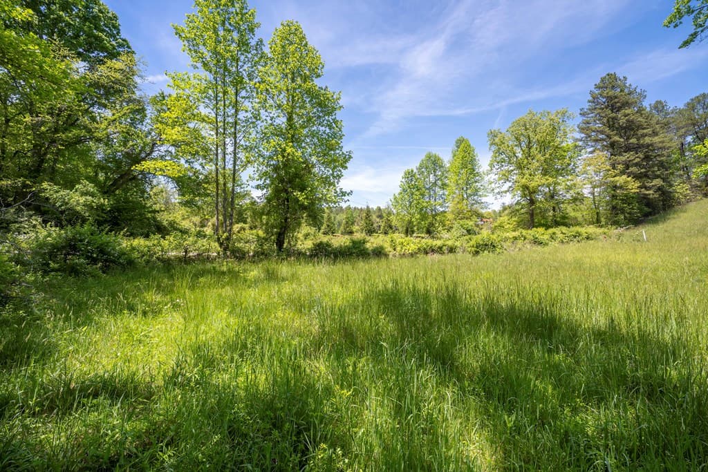 Lot 1-1A Jonica Gap Road, Mineral Bluff GA 30559 - Photo