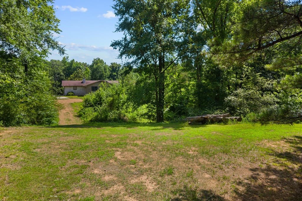 253 Love Drive, Chatsworth GA 30705 - Photo