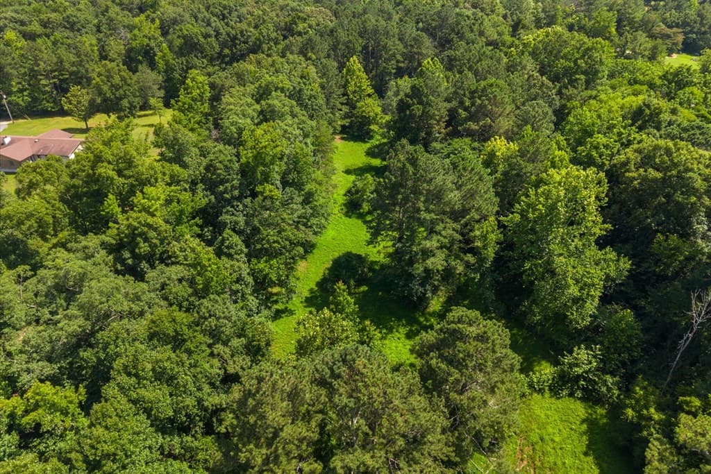 253 Love Drive, Chatsworth GA 30705 - Photo