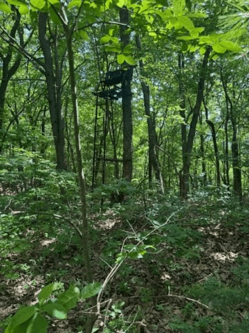 10.96 Ac Paramount Trail, Ellijay GA 30536 - Photo