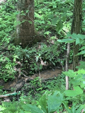 10.96 Ac Paramount Trail, Ellijay GA 30536 - Photo