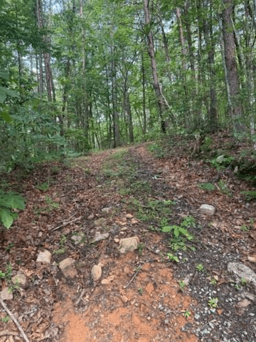 10.96 Ac Paramount Trail, Ellijay GA 30536 - Primary photo