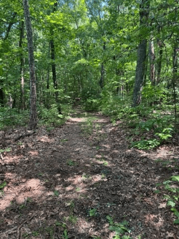 10.96 Ac Paramount Trail, Ellijay GA 30536 - Photo