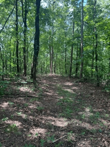 10.96 Ac Paramount Trail, Ellijay GA 30536 - Photo