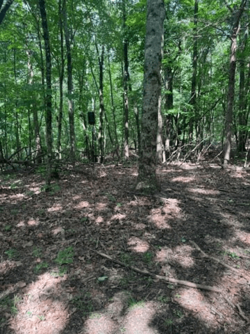 10.96 Ac Paramount Trail, Ellijay GA 30536 - Photo