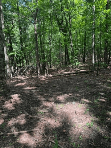 10.96 Ac Paramount Trail, Ellijay GA 30536 - Photo