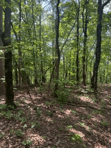 10.96 Ac Paramount Trail, Ellijay GA 30536 - Photo