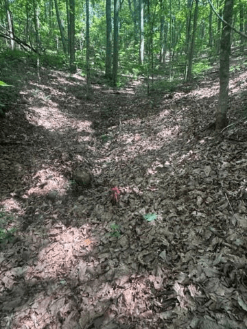 10.96 Ac Paramount Trail, Ellijay GA 30536 - Photo