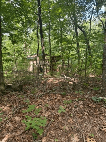 10.96 Ac Paramount Trail, Ellijay GA 30536 - Photo