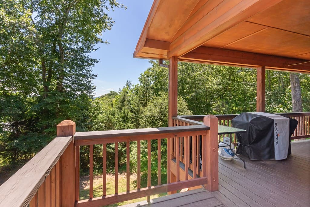 117 Carson Lane, Murphy NC 28006 - Photo