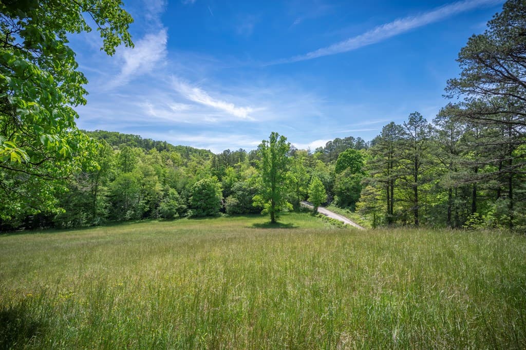 Lot 2-2A Waterstone Way, Mineral Bluff GA 30559 - Photo