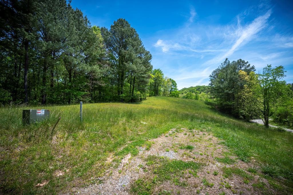 Lot 2-2A Waterstone Way, Mineral Bluff GA 30559 - Photo