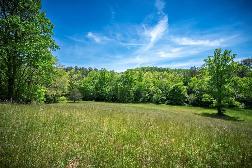 Lot 2-2A Waterstone Way, Mineral Bluff GA 30559 - Primary photo