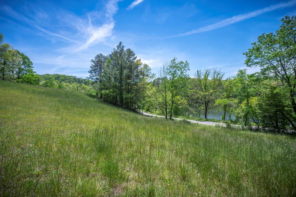 Lot 2-2A Waterstone Way, Mineral Bluff GA 30559 - Photo