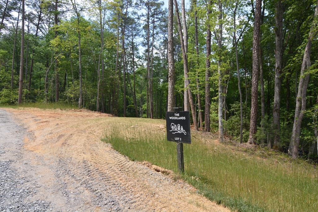 Lot 2 Murphy Hwy (Spur 60), Mineral Bluff GA 30559 - Photo