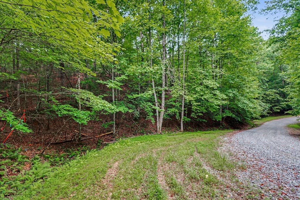 148 Alcan Way, Ellijay GA 30540 - Photo