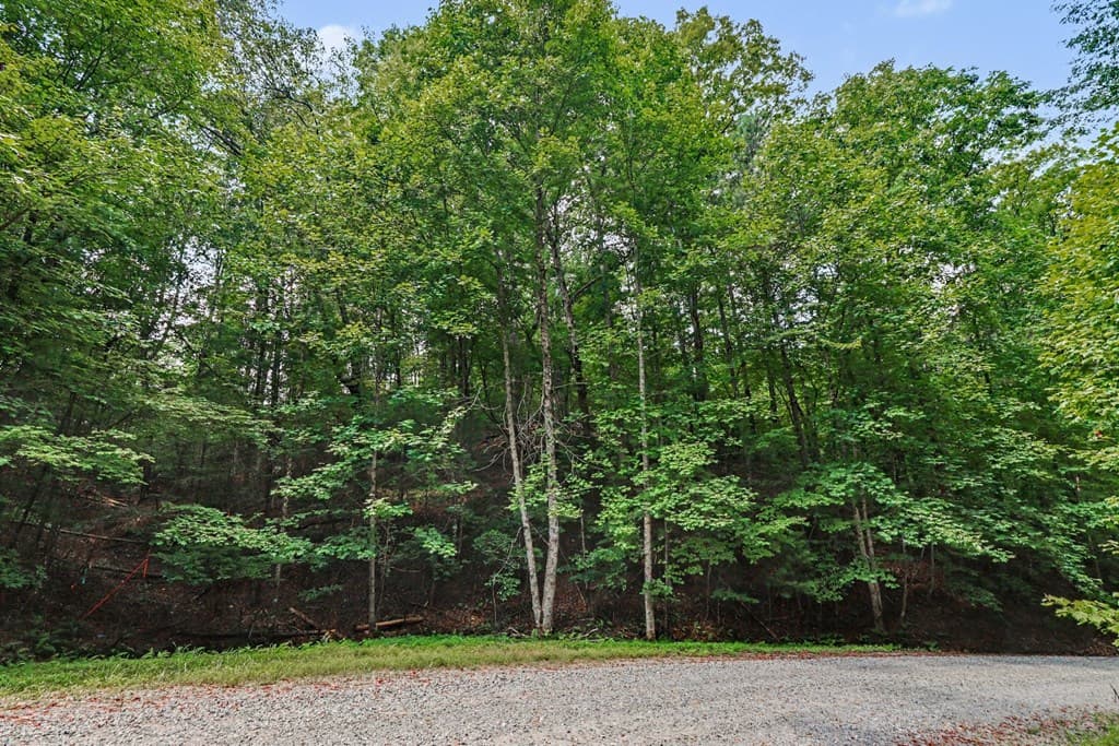 148 Alcan Way, Ellijay GA 30540 - Photo