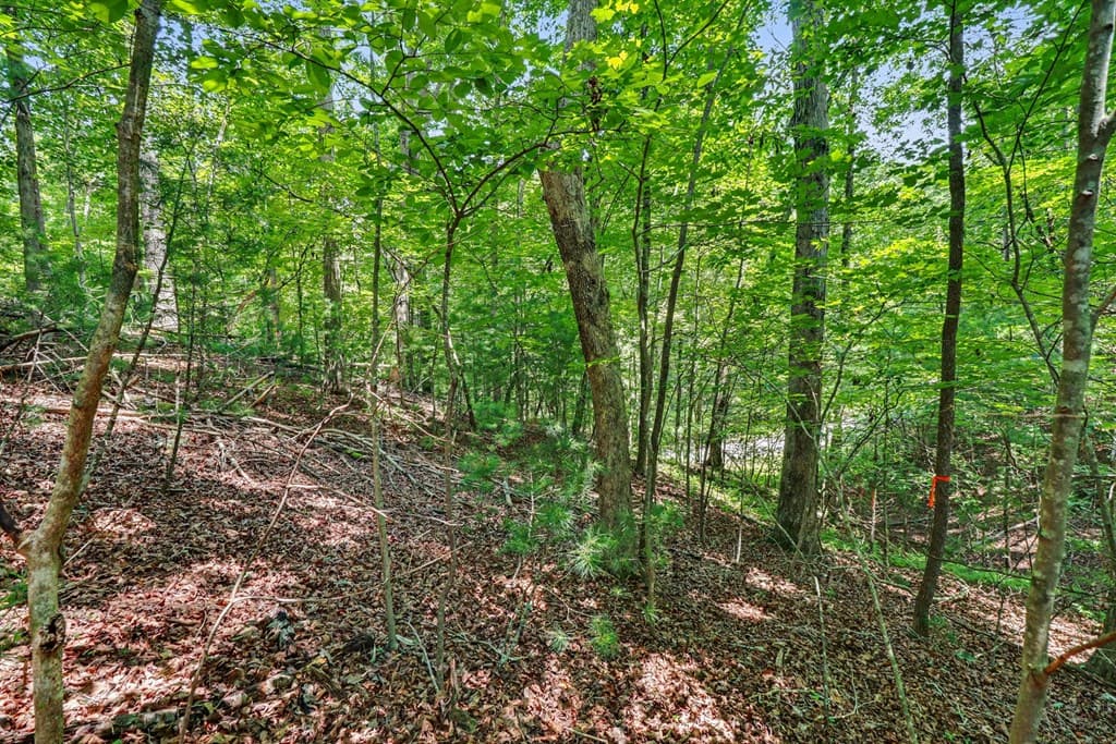 148 Alcan Way, Ellijay GA 30540 - Photo