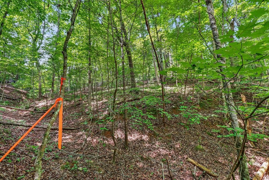 148 Alcan Way, Ellijay GA 30540 - Primary photo