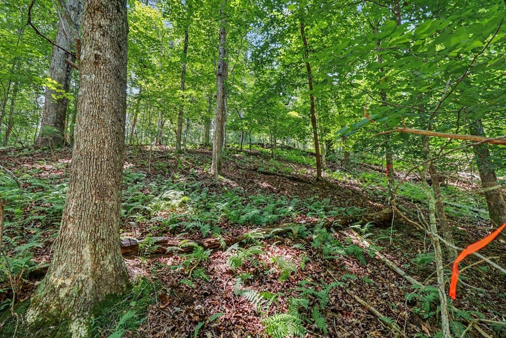 148 Alcan Way, Ellijay GA 30540 - Photo