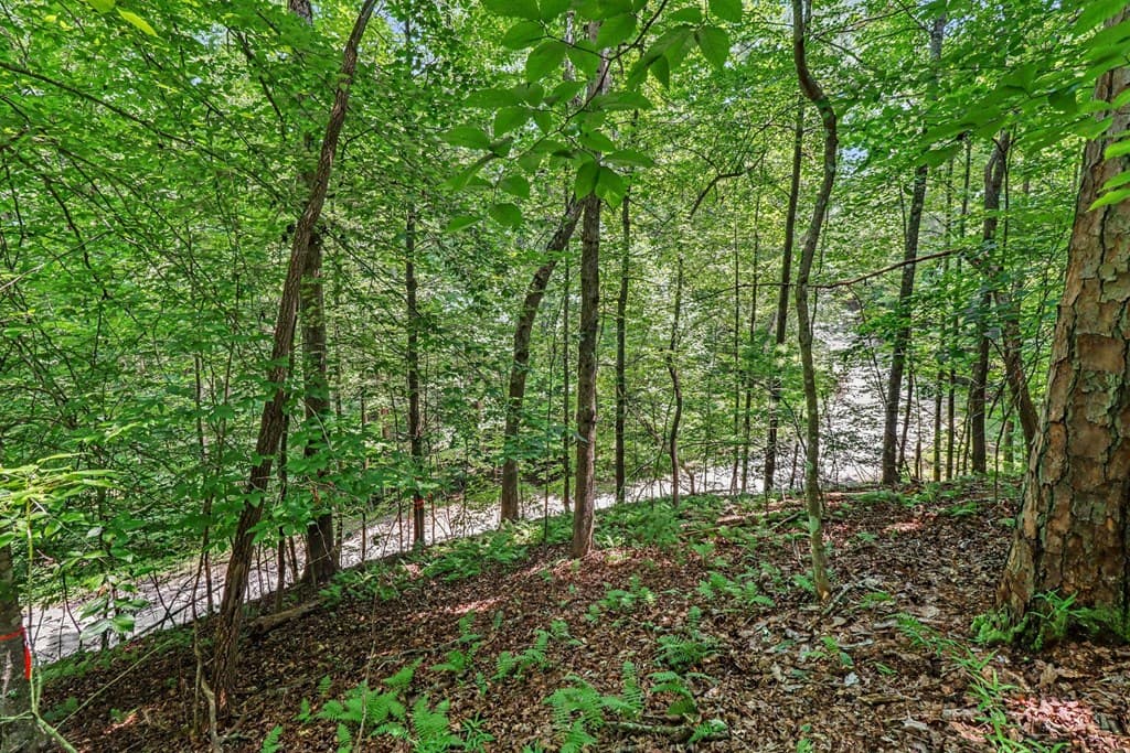 148 Alcan Way, Ellijay GA 30540 - Photo